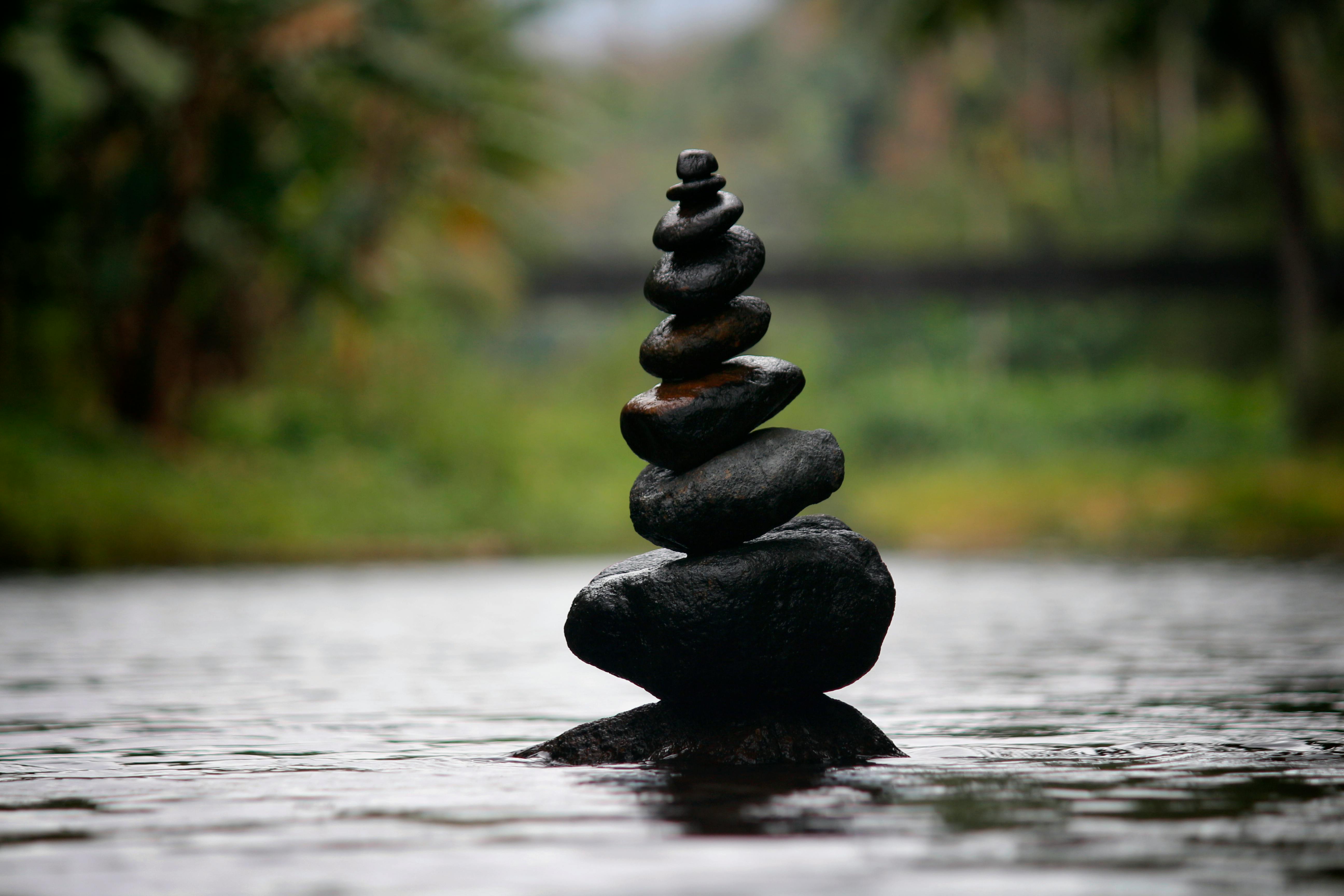 Rediscovering Zen: How I’m Rebuilding Calm, Focus, and Flow After Chaos